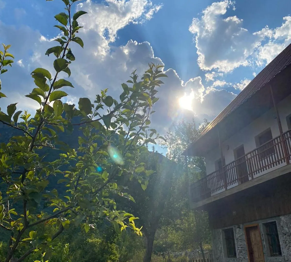 Guesthouse Driti Nderlysaj 0*,