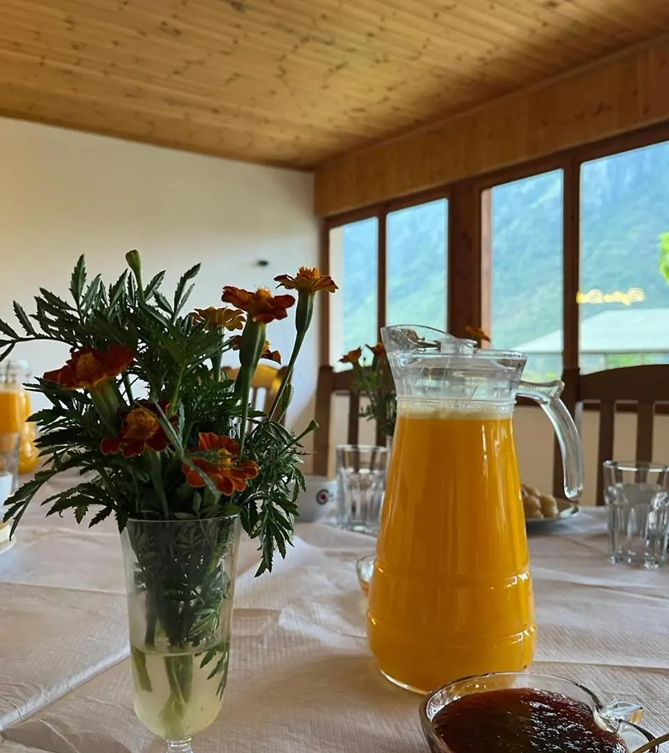 Bed & Breakfast Guesthouse Driti Nderlysaj